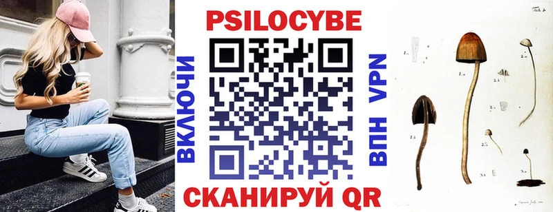 Галлюциногенные грибы ЛСД  Злынка 